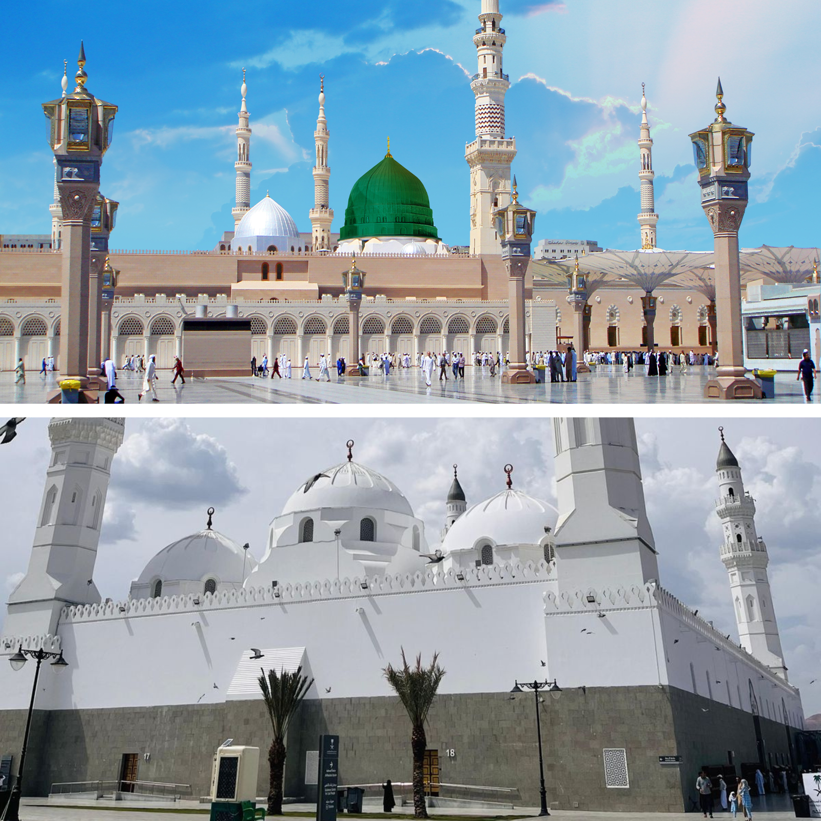 المدينة ↔ مسجد قباء